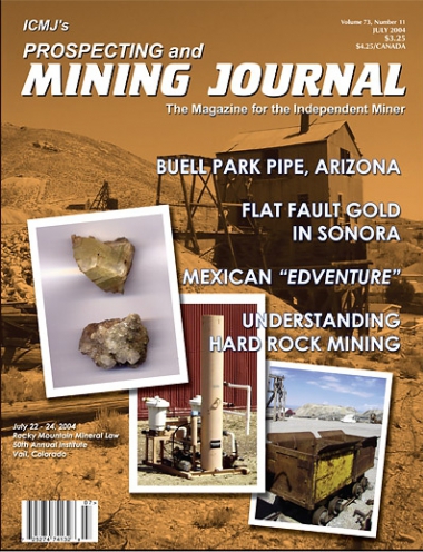 July 2004 (Vol. 73, No. 11)